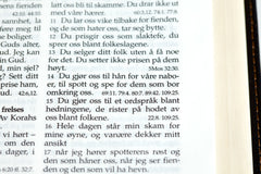 Mykbind, mellomstor utgave