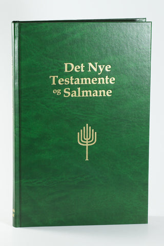 Det Nye Testamente og Salmane, storskrift nynorsk